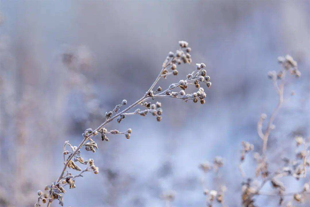 小雪 ▎冬藏萬(wàn)物，歲月沉香