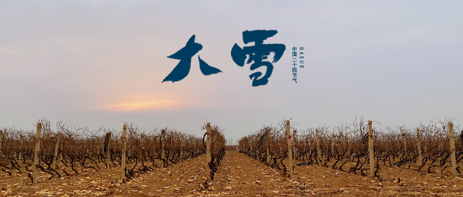 大雪 ▎世界留白，天地靜美