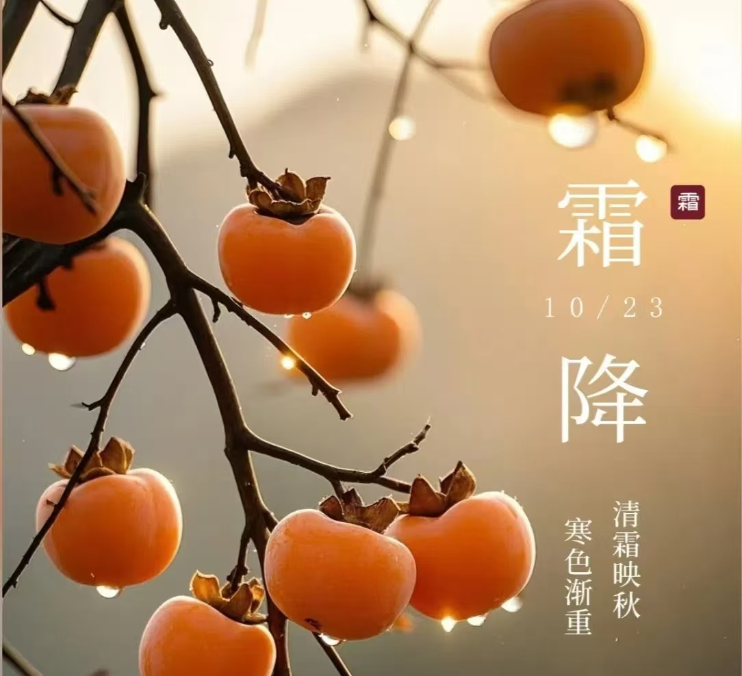 霜降||人間至此秋色盡，草木搖落露為霜